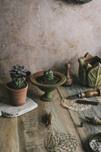Aged Terracotta Fruit Bowl Planter