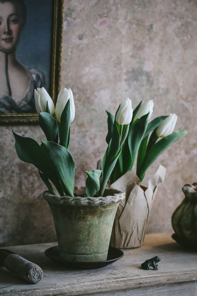 Aged Terracotta Petal Planter