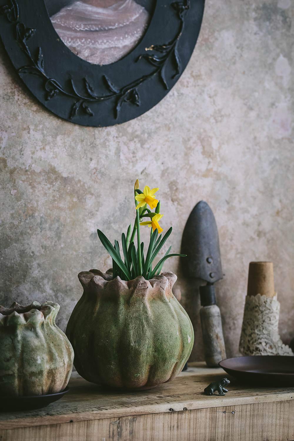 Aged Terracotta Poppy Planter