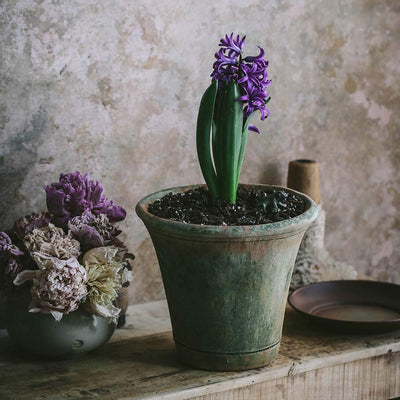 Aged Terracotta Planter