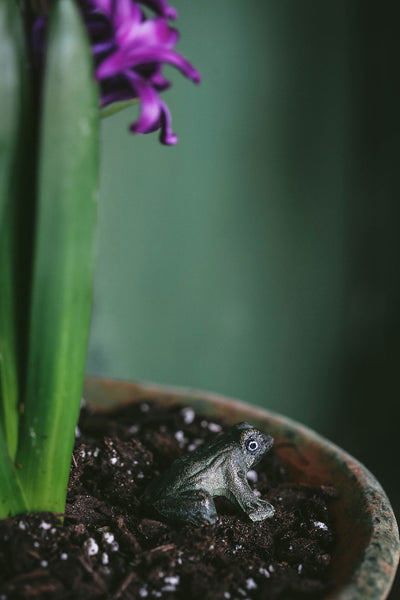 Mini Cast Bronze Plant Frog