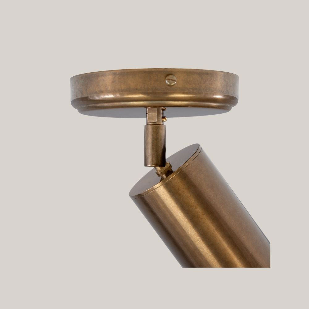 Sloane Directional Ceiling Light