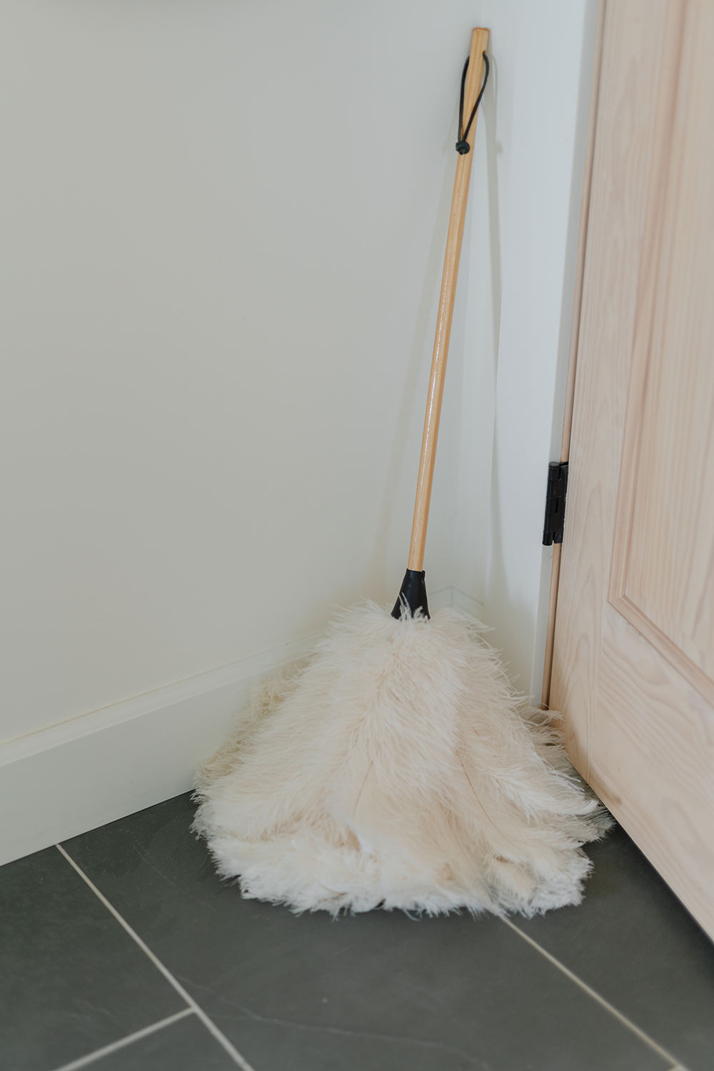 Feather Duster
