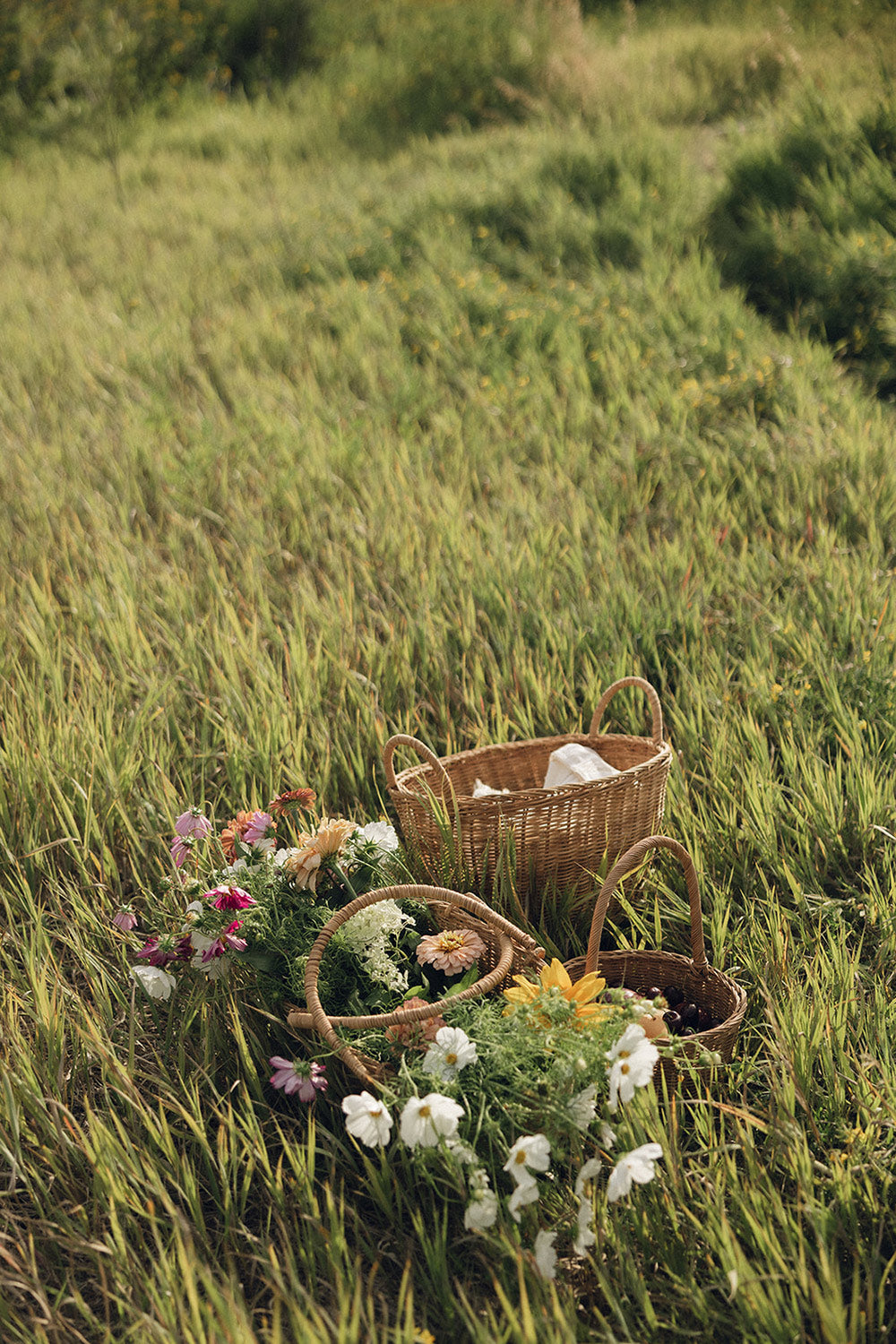 Rue Rattan Catchall Basket
