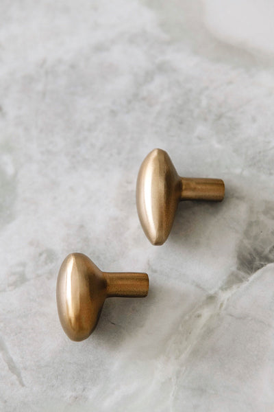 Roan Iris Antique Brass Knob