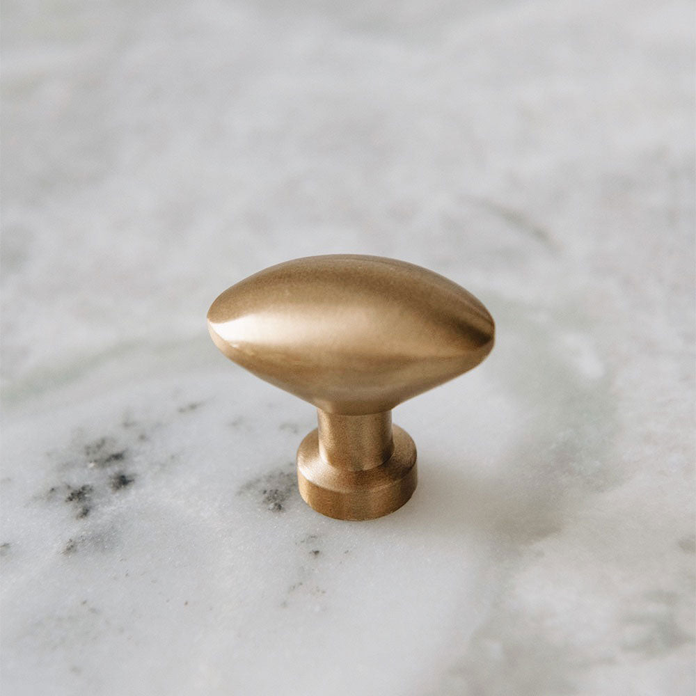 Roan Iris Antique Brass Knob