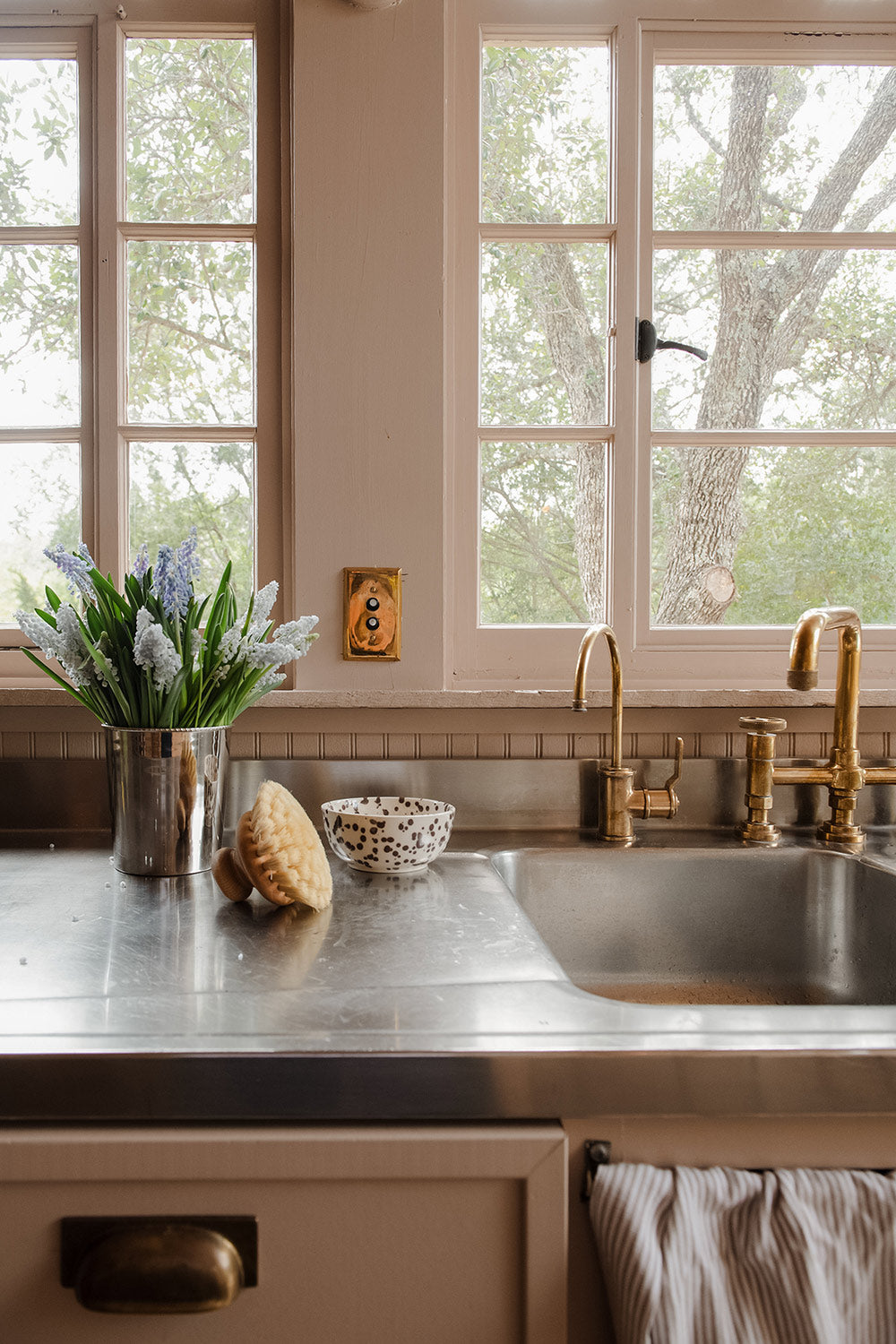 Pan & Scrub Brush with Knob
