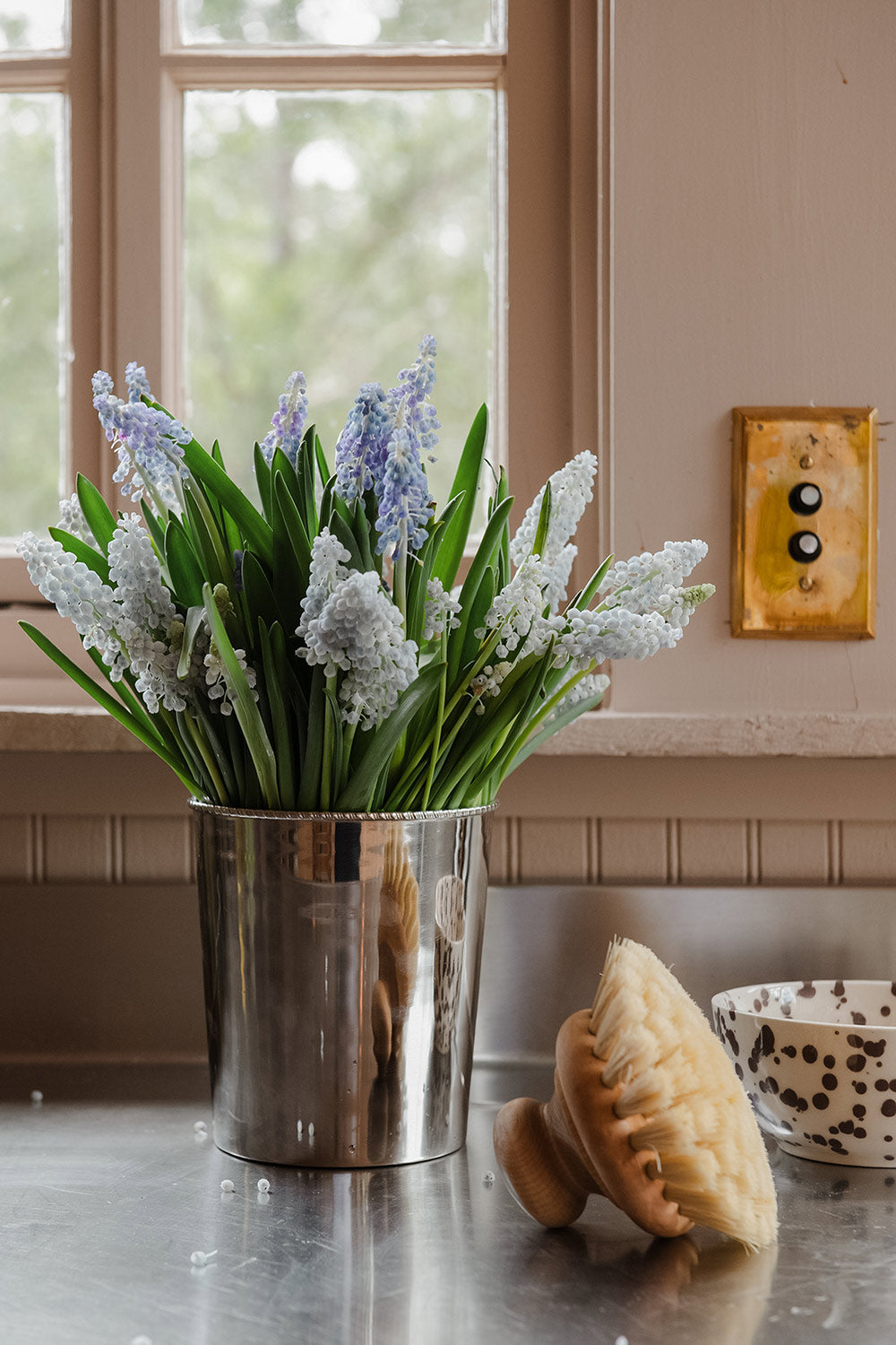 Pan & Scrub Brush with Knob