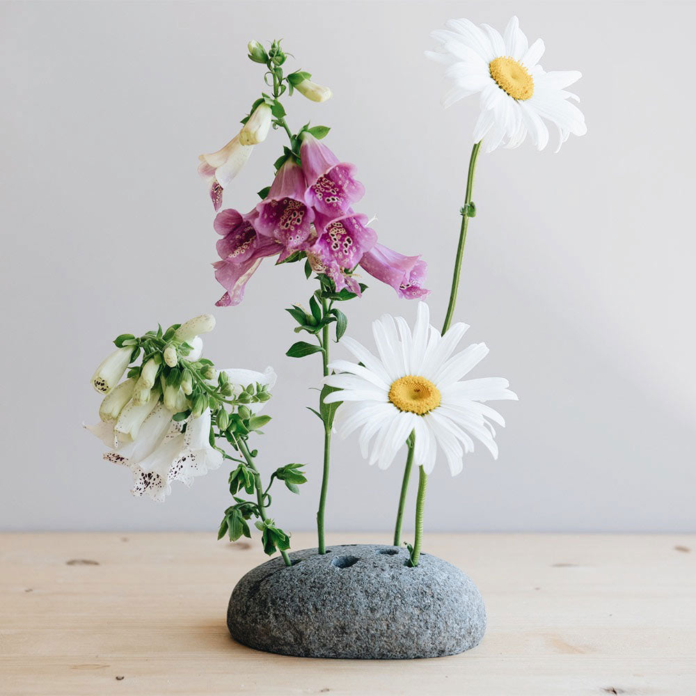 Stone Flower Frog