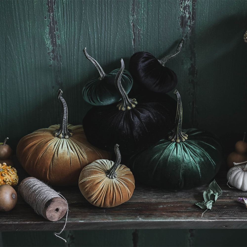 Autumn Velvet Pumpkin