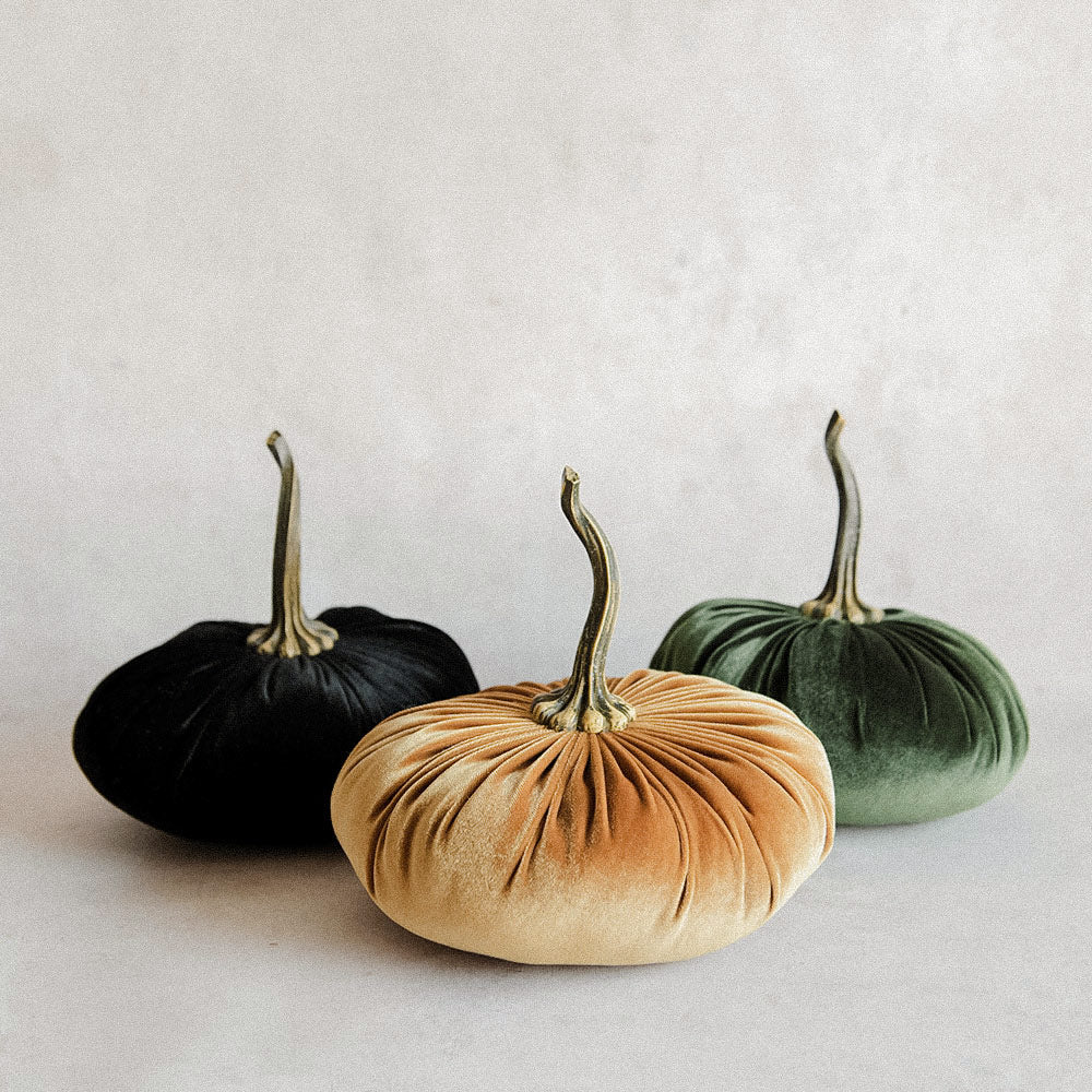 Autumn Velvet Pumpkin