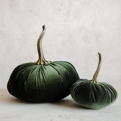 Autumn Velvet Pumpkin