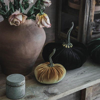 Autumn Velvet Pumpkin