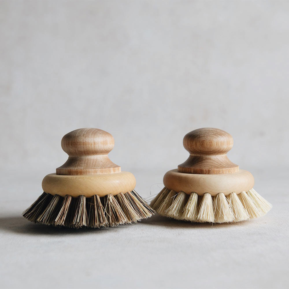 Pan & Scrub Brush with Knob
